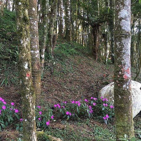 Chales Vila Flor Gonçalves Zewnętrze zdjęcie